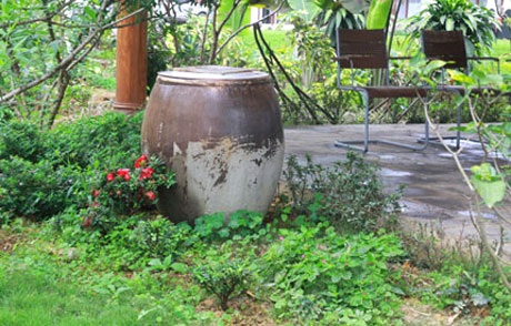 Ngắm nhà vườn “như trong mơ” của diva Mỹ Linh