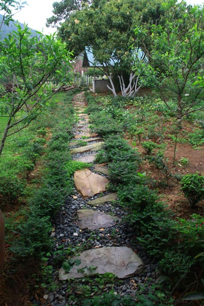 Ngắm nhà vườn “như trong mơ” của diva Mỹ Linh