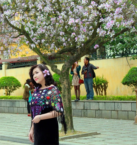 Hoàng Dung hát giữa bạt ngàn hoa ban