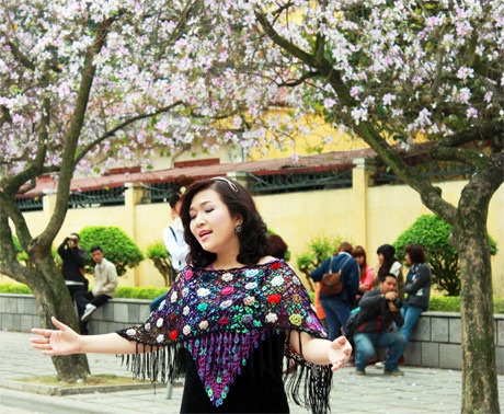 Hoàng Dung hát giữa bạt ngàn hoa ban