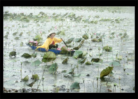 Tác phẩm Cuộc sống của Đoàn Thị Thơ đoạt giải nhì