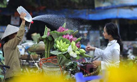 Tác phẩm đoạt giải ba Mùa sen của Nguyễn Xuân Chính
