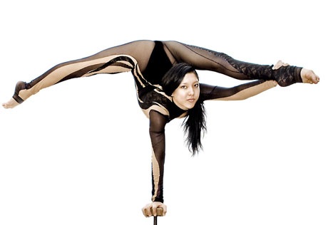 Tiết mục biểu diễn của đoàn xiếc Mỹ