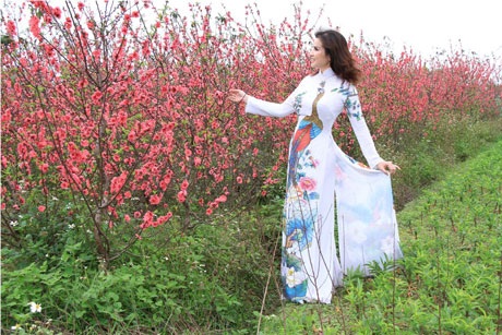 Đệ nhất Hoa hậu Quý bà Thế giới du xuân miền Bắc - 2 Hà Thanh