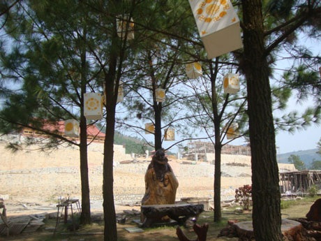 Công tác chuẩn bị cho Hội Hoa Cúc tại chùa Ba Vàng