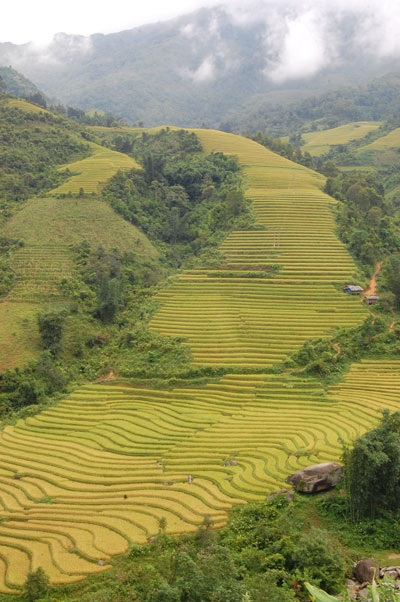 Cận cảnh hai danh thắng Sa Pa vừa được xác nhận kỷ lục Việt Nam