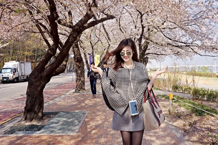 Á hậu Tú Anh rạng rỡ ngắm hoa anh đào tại Hàn Quốc