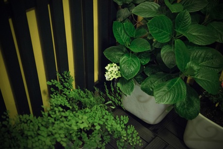 Ngắm căn hộ “triệu đô” của diễn viên Hải Anh - 22 Hoa tươi và cây xanh cũng rất được cặp đôi yêu thích và chăm sóc