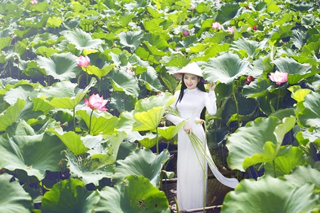 Hoa hậu Ngọc Anh đẹp tinh khôi với hoa sen - 1 Hoa hậu Ngọc Anh đẹp tinh khôi với hoa sen