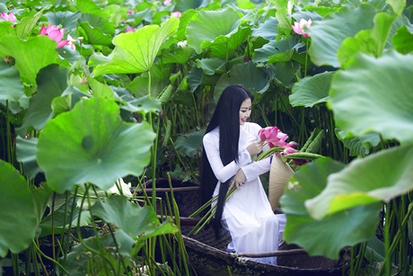 Hoa hậu Ngọc Anh đẹp tinh khôi với hoa sen - 11 Hoa hậu Ngọc Anh đẹp tinh khôi với hoa sen