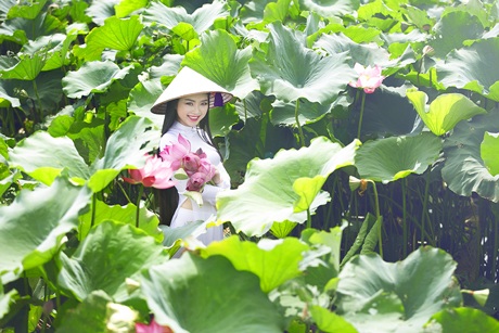 Hoa hậu Ngọc Anh đẹp tinh khôi với hoa sen - 2 Hoa hậu Ngọc Anh đẹp tinh khôi với hoa sen