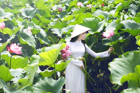 Hoa hậu Ngọc Anh đẹp tinh khôi với hoa sen - 3 Hoa hậu Ngọc Anh đᶹp tinh khôi với hoa sen