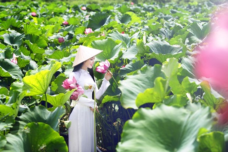 Hoa hậu Ngọc Anh đẹp tinh khôi với hoa sen - 4 Hoa hậu Ngọc Anh đẹp tinh khôi với hoa sen