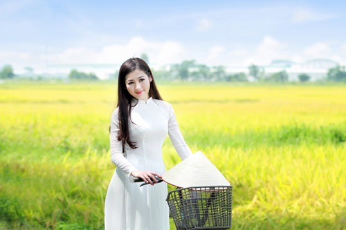 Á hậu Tú Anh xinh tươi như bông hoa giữa đồng lúa vàng - 2 Hà Thanh