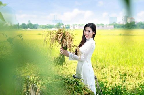 Á hậu Tú Anh xinh tươi như bông hoa giữa đồng lúa vàng - 11 Hà Thanh