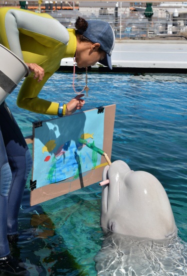 Đến Yokohama xem cá voi tập làm họa sĩ
