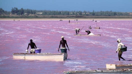 Hồ nước Retba Senegal có màu sữa dâu tây