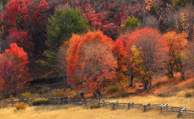 Gam màu đỏ chủ đạo tại khu vực gần thành phố Cedar, tiểu bang Utah