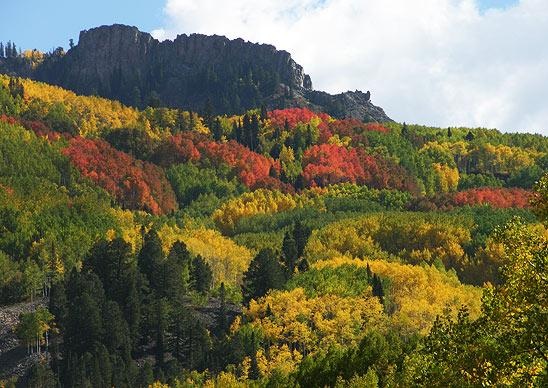 Trên đường đèo tới khu Crested Butte, thuộc tiểu bang Colorado