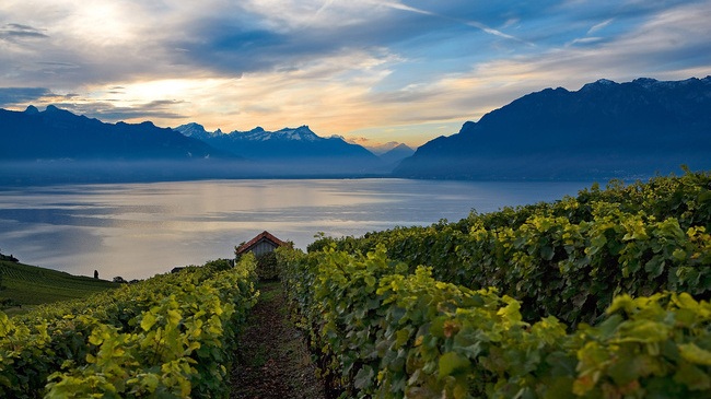Lavaux Vineyard Terraces được công nhận là Di sản thế giới vào năm 2007. 