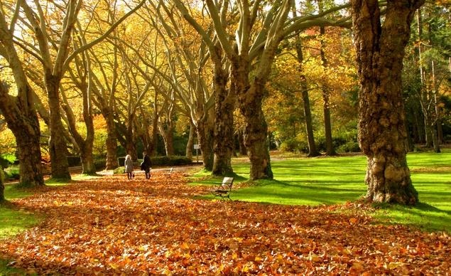 Quyến rũ bức tranh mùa thu nước Mỹ