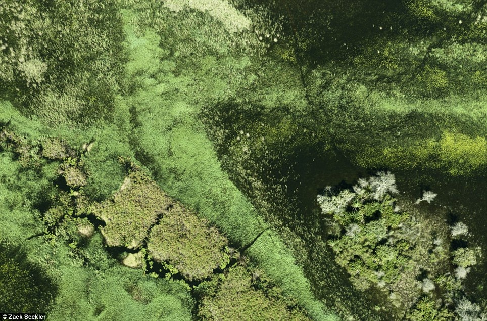 Đồng bằng Okavango