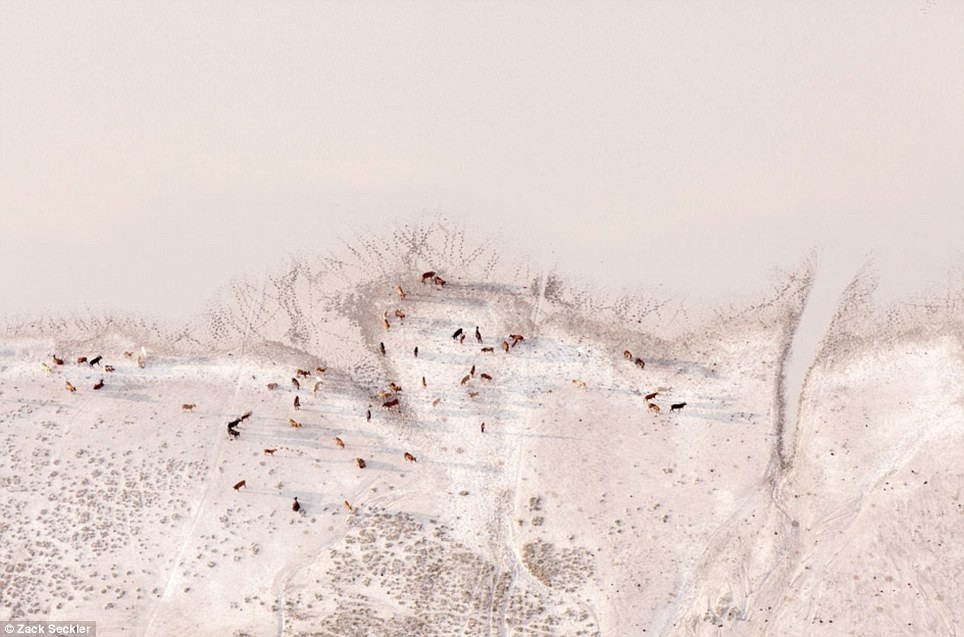 Đồng bằng Okavango