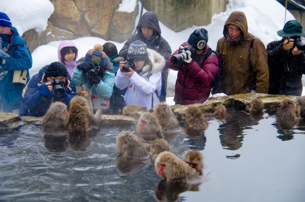 Hình ảnh thú vị này thu hút rất nhiều thợ săn ảnh