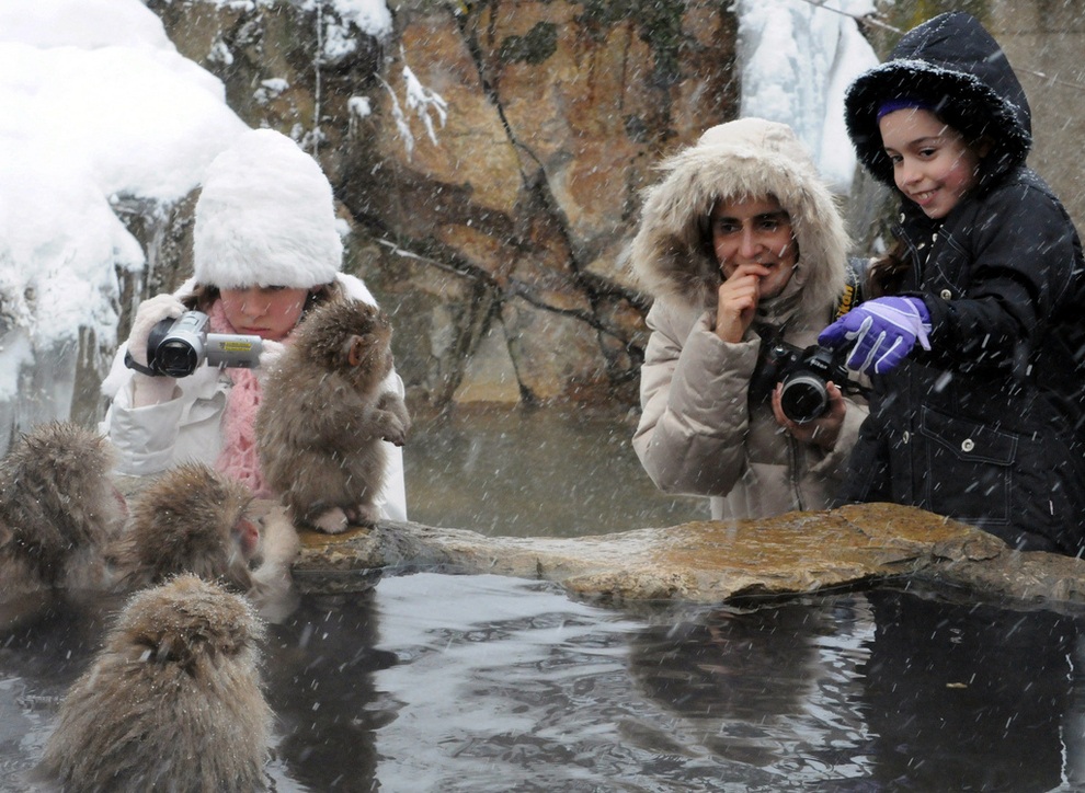 Hình ảnh thú vị này thu hút rất nhiều thợ săn ảnh