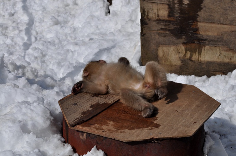 Thư giãn sau khi tắm