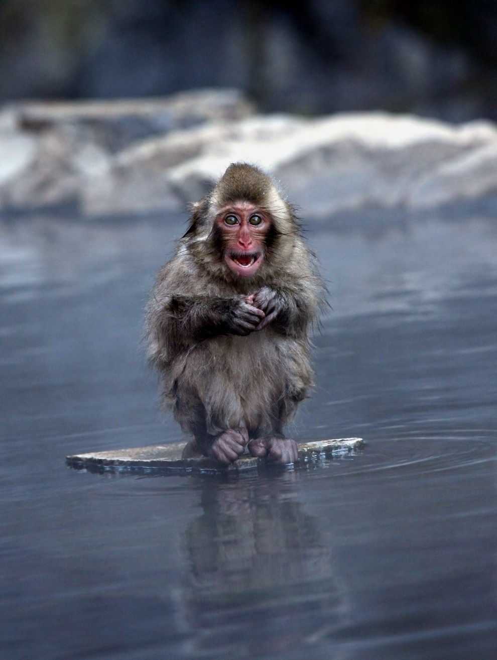 Du thuyền trên dòng suối