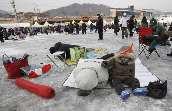 Các gia đình đều tất bật cho công việc săn cá hồi