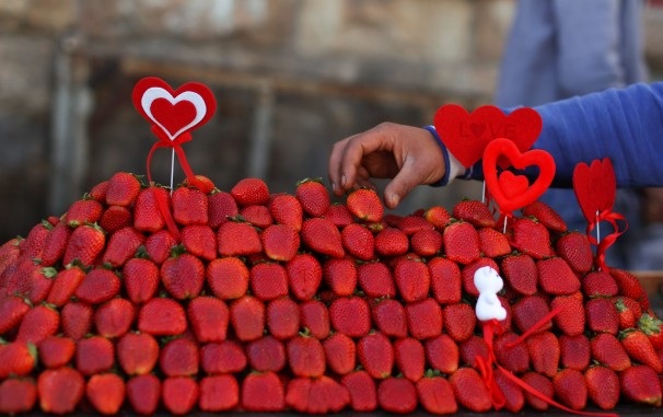 Thế giới ngập tràn tình yêu trong ngày Valentine - 15 Một người bán hàng rong tại Palestin trang trí những hình
trái tim trên rổ dâu tây