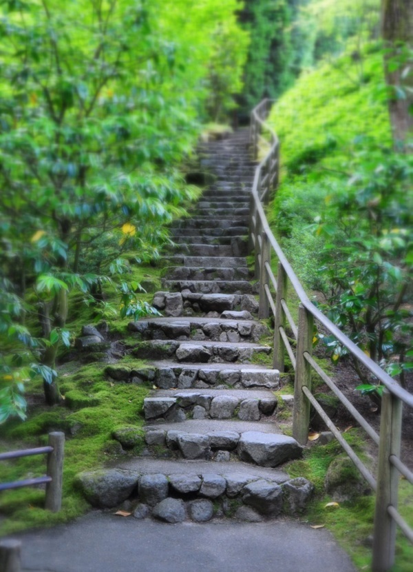 Dạo quanh khu vườn Nhật tuyệt đẹp trên đất Mỹ - 10 Khu Vườn Nhật tại Portland thu hút hàng ngàn khách du lịch mỗi năm