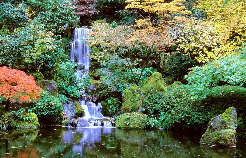Dạo quanh khu vườn Nhật tuyệt đẹp trên đất Mỹ - 12 Khu Vườn Nhật tại Portland thu hút hàng ngàn khách du lịch mỗi năm