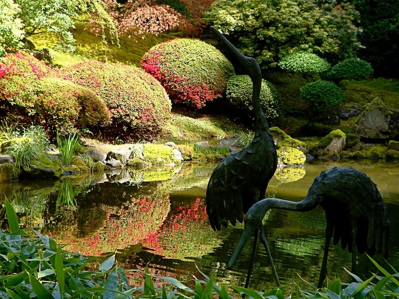 Khu vườn Nhật tại Portland thu hút hàng ngàn khách du lịch mỗi năm