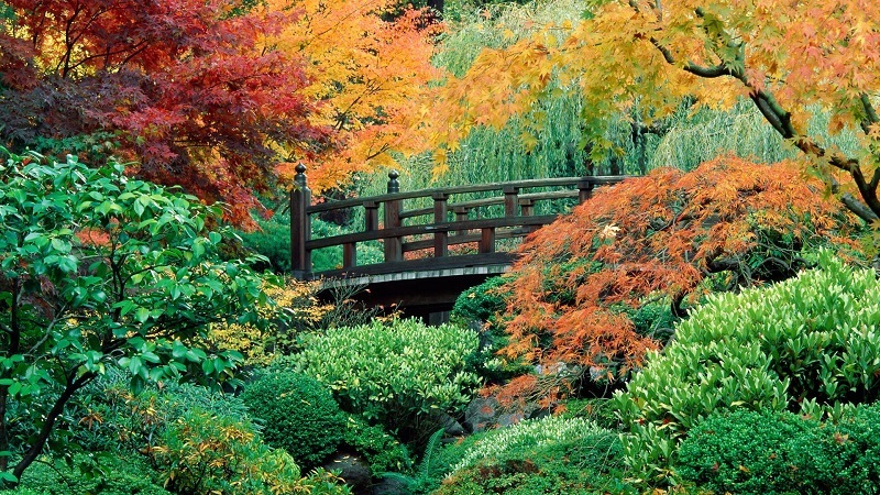 Dạo quanh khu vườn Nhật tuyệt đẹp trên đất Mỹ - 6 Khu Vườn Nhật tại Portland thu hút hàng ngàn khách du lịch mỗi năm