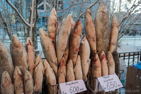 Đến Nga thưởng thức đặc sản cá sống Stroganina - 1 Cá sống bắt từ sông băng được bày bán tại vùng Yakutia