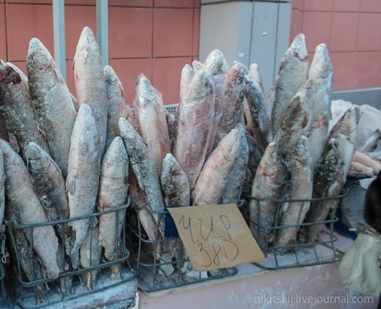 Đến Nga thưởng thức đặc sản cá sống Stroganina - 3 Sau khi được cắt thành lát mỏng và dài, món cá sống được ăn cùng với muối tiêu.