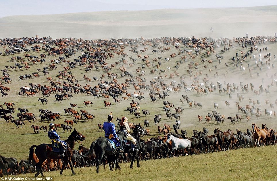 Nghề nuôi ngựa phát triển mạnh ở tỉnh Tân Cương, nơi các bộ tộc du mục từng sinh sống