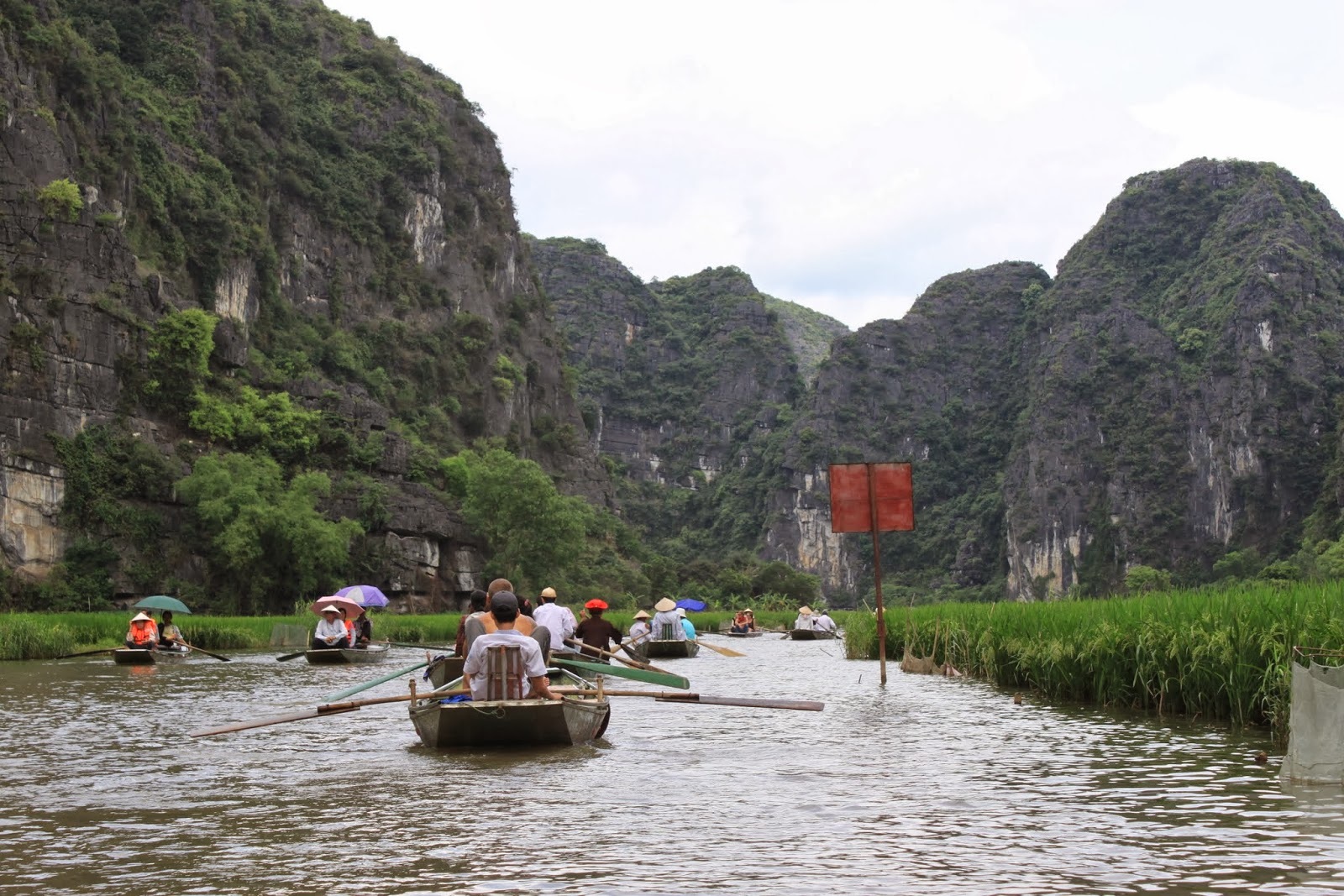 Khách Tây say đắm vẻ đẹp của “Vịnh Hạ Long trên cạn” - 1 Du thuyền trên sông Ngô Đồng (Ảnh Lense Moments)