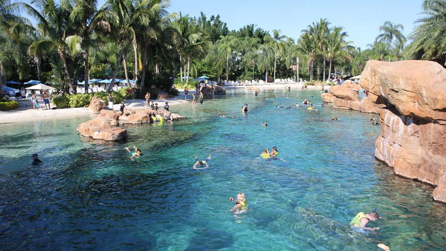 Công viên Việt Nam lọt vào top những công viên hàng đầu châu Á - 4 Discovery Cove, công viên chủ đề được ưa thích nhất thế giới