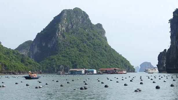 Làng chài Vung Viêng