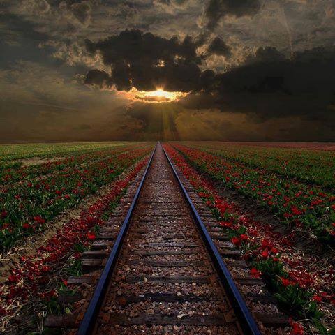 Hoàng hôn ở đường tàu Romania