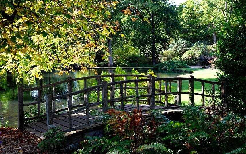 Khu vườn Exbury, Hampshire thấp thoáng sắc vàng