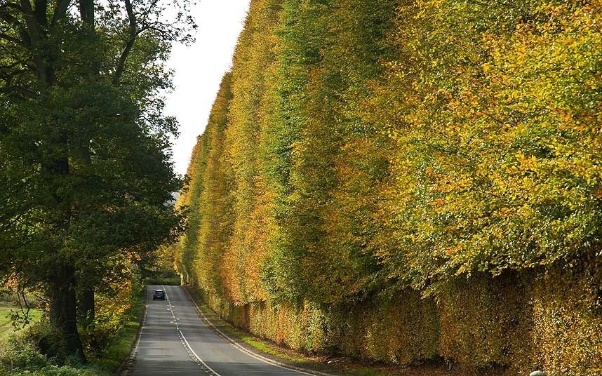 Vườn thực vật Batsford vào thu