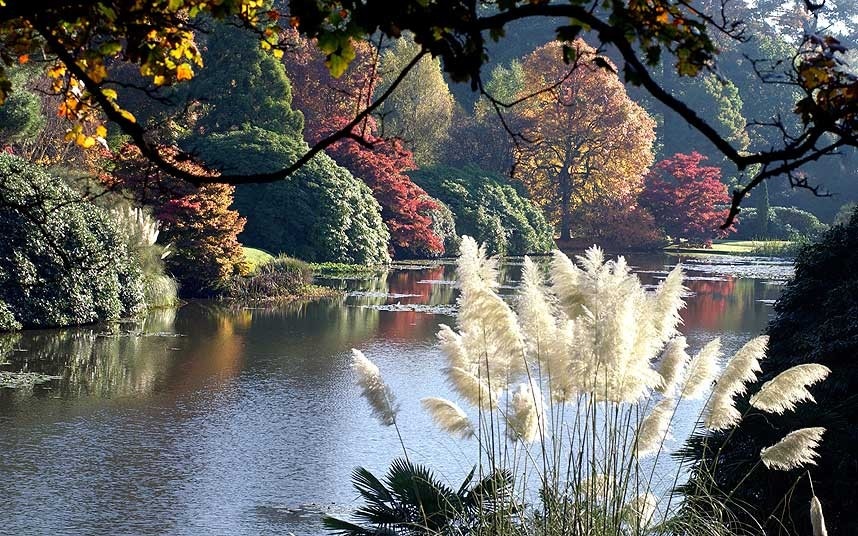 Một bức tranh đa màu tại công viên Sheffield Park, phía đông Sussex
