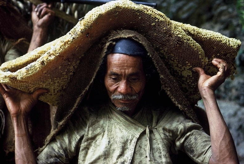 Rùng mình cảnh “giỡn với tử thần” để săn mật ong - 5 Vui mừng với thành quả sau cuộc đi săn