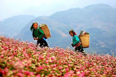 Việt Nam sẽ xuất hiện nhiều hơn trong phim Mỹ - 2 Việt Nam sẽ được lựa chọn là bối cảnh trong các bộ phim Mỹ?