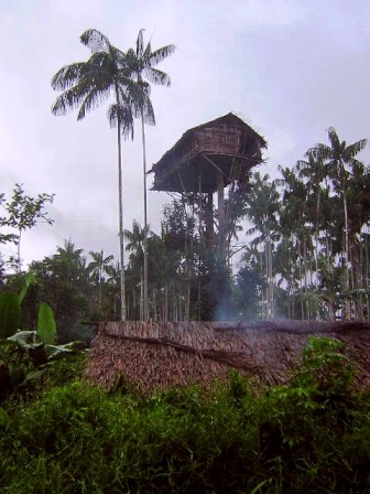 Nhà trên cây của người Korowai 